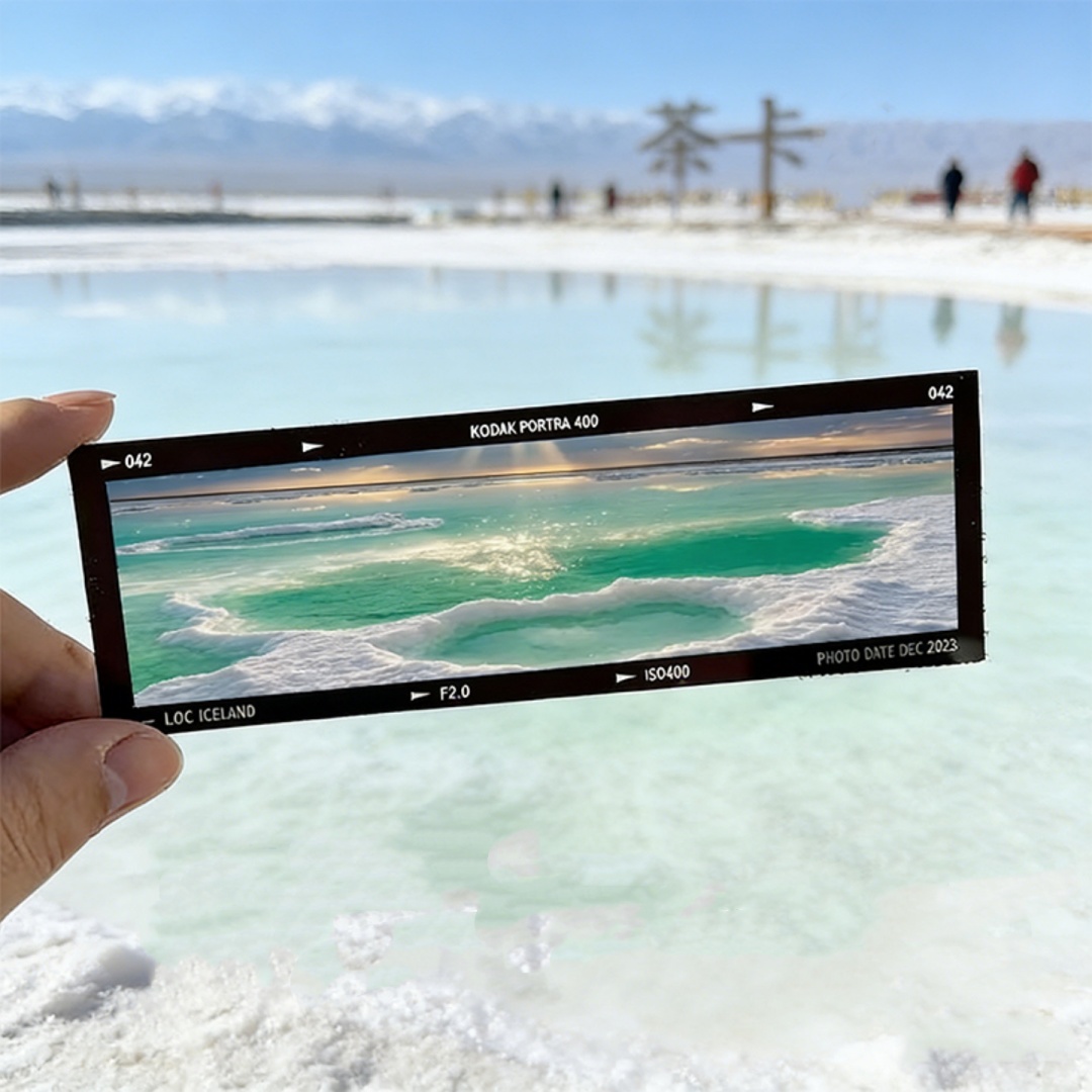ที่คั่นหนังสืออะคริลิคสไตล์ภาพ - Dried Flower Bookmark บทวิจารณ์และราคา
