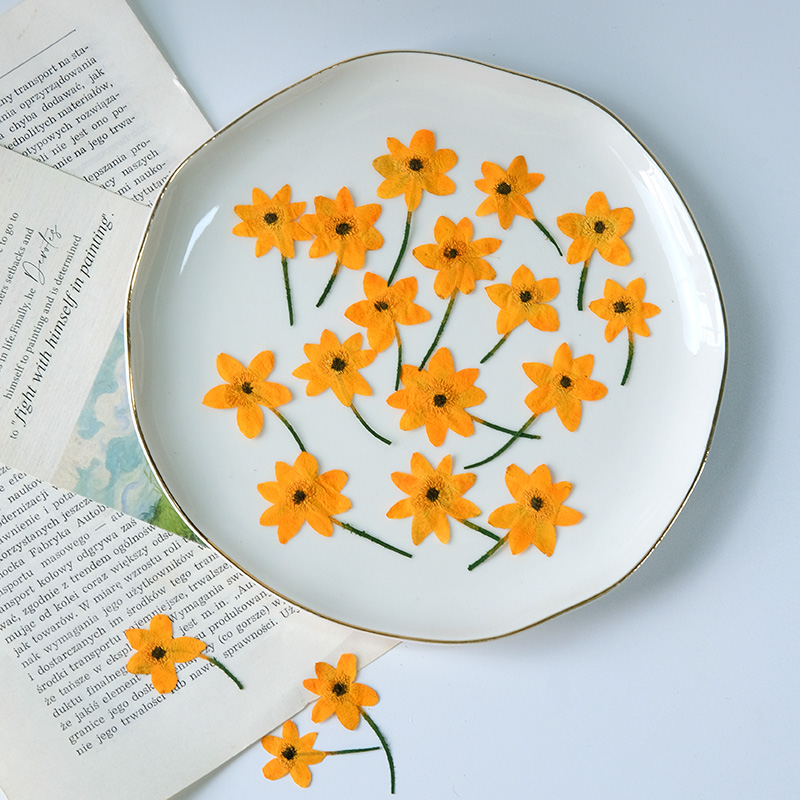 5-7 ซม./16 ชิ้น, กลีบดอกอะเนโม - Dried Flower Bookmark บทวิจารณ์และราคา