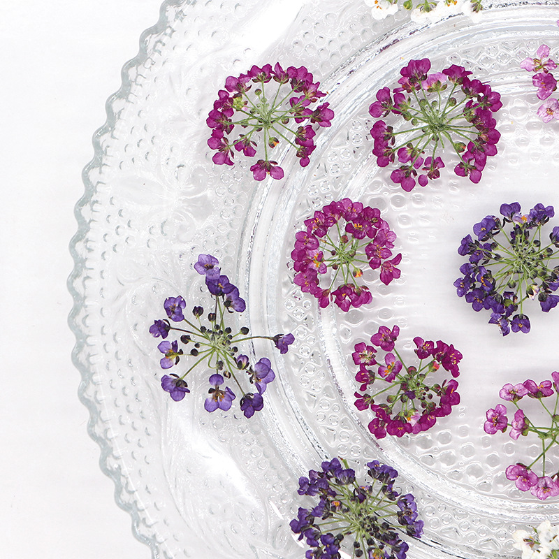 1.5-2.5 ซม./12 ชิ้น, ดอกไม้หิม - Dried Flower Bookmark บทวิจารณ์และราคา